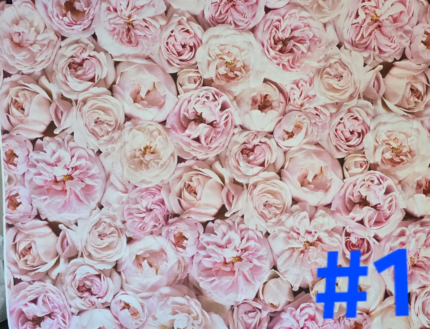 Smile Picture - Fotobox Blume